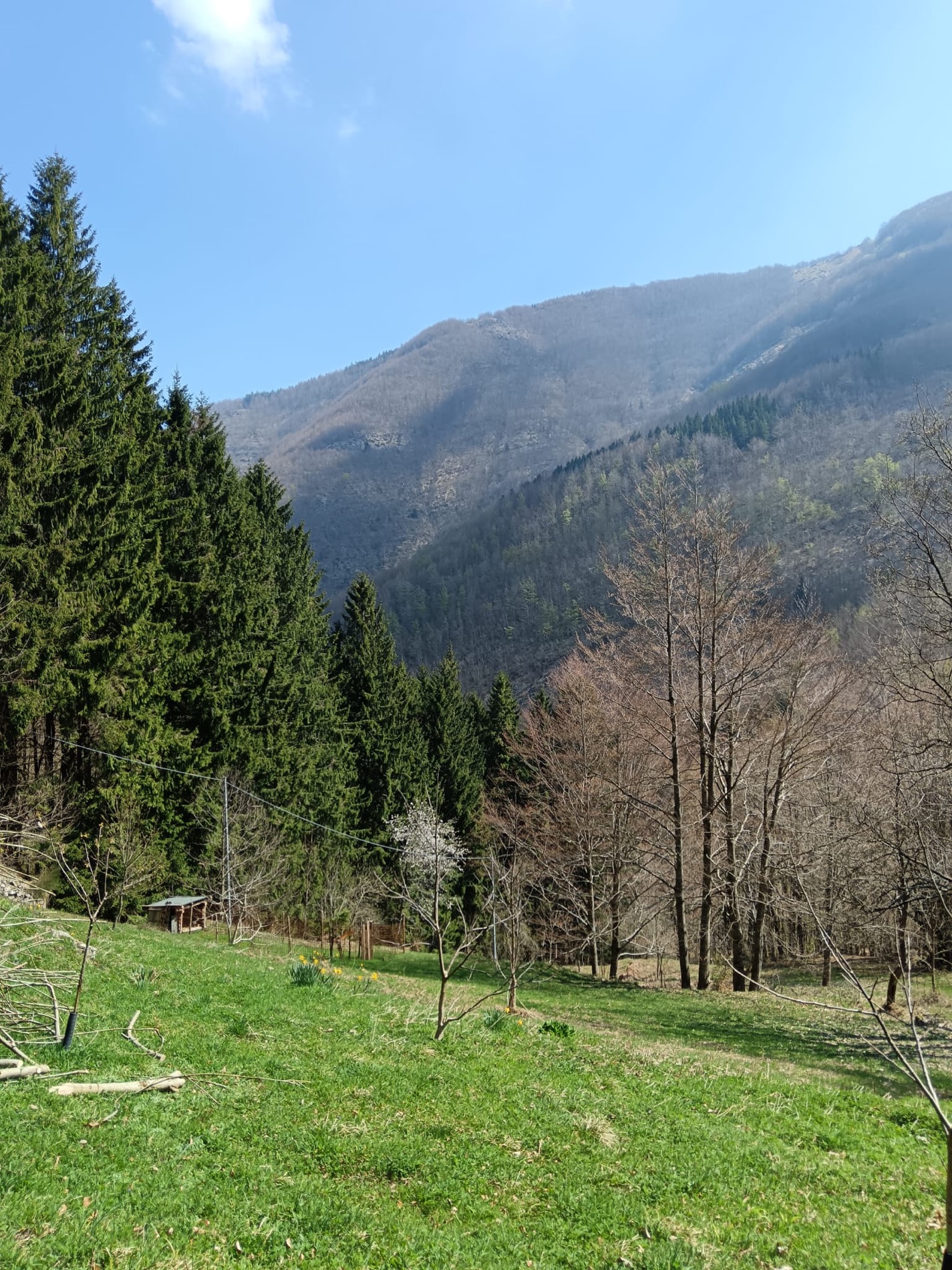 Prato verde e montagna sotto un cielo blu
