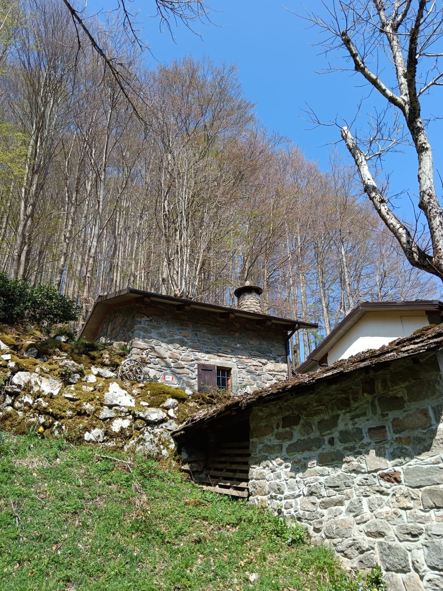 Casa in pietra sotto gli alberi